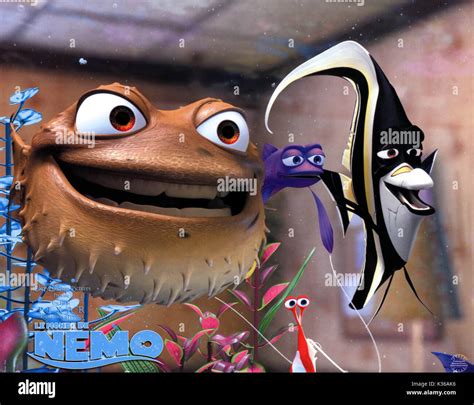 17 Fish From Finding Nemo (With Pictures) .